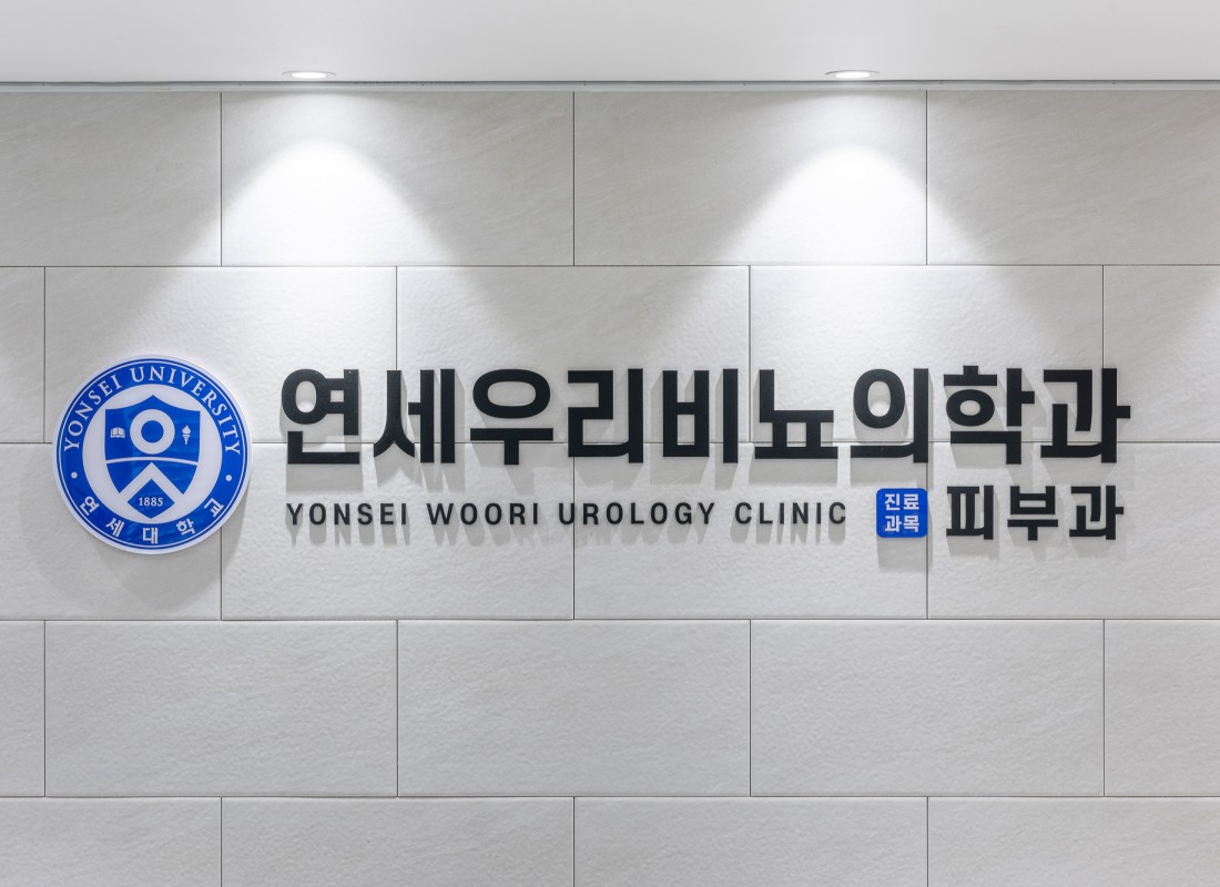 둘러보기사진